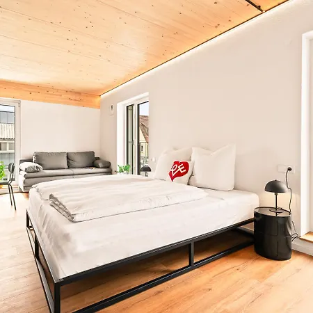 Einzimmer Wohlfuehlapartment Drei Klimatisiert Friedrichshafen Exterior photo